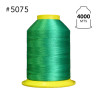 Hilo para bordar Verde - 5075